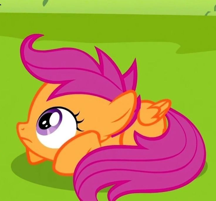 madeofcandyy's tweet photo. Ponies being kittenish r the cutest ever I mean look at them... https://t.co/9ZrcixdBF9