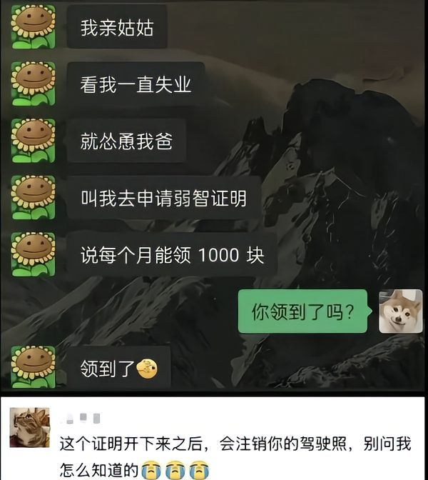 哈哈哥 的图片 1