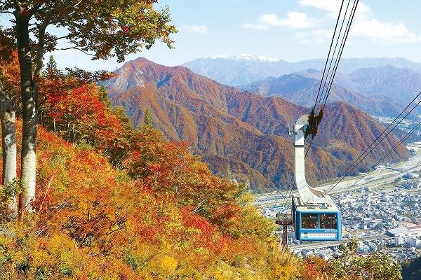 umasaniigata's tweet photo. 【湯沢高原オータムフェア🍁】9/19～11/8

秋色に染まる湯沢高原へ🚡✨

9月下旬からコキアが色づき始め、10月中旬からは高原エリアからロープウェイ周辺まで紅葉シーズンに🍂

期間中は、秋景色の中で楽しむアクティビティのほか、さつまいもを使った秋限定メニューも登場します😋

ぜひお越しください✨

👉 https://t.co/rGbTjxexm6

#新潟 #湯沢町