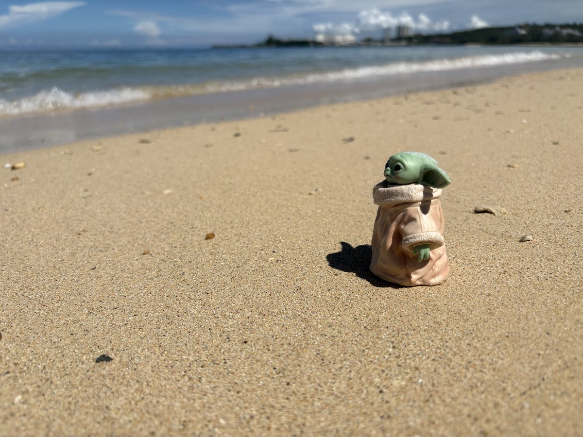 fillmore35's tweet photo. うちのぐーちゃん
はじめてのおきなわ
🏖️スラムダンク りょーちんが走ってた浜辺に来てみる
🌊うぇーんぬれたぁぁ
🐚ヤドカリ見つけた
🪼物思いにふけってみる

飛行機の映画にマンダロリアン&amp;グローグーがあってﾆｯｺﾘ
薄ら笑いながら観てたから隣の人怖かったかも🤭 https://t.co/pFEIyfwPFQ