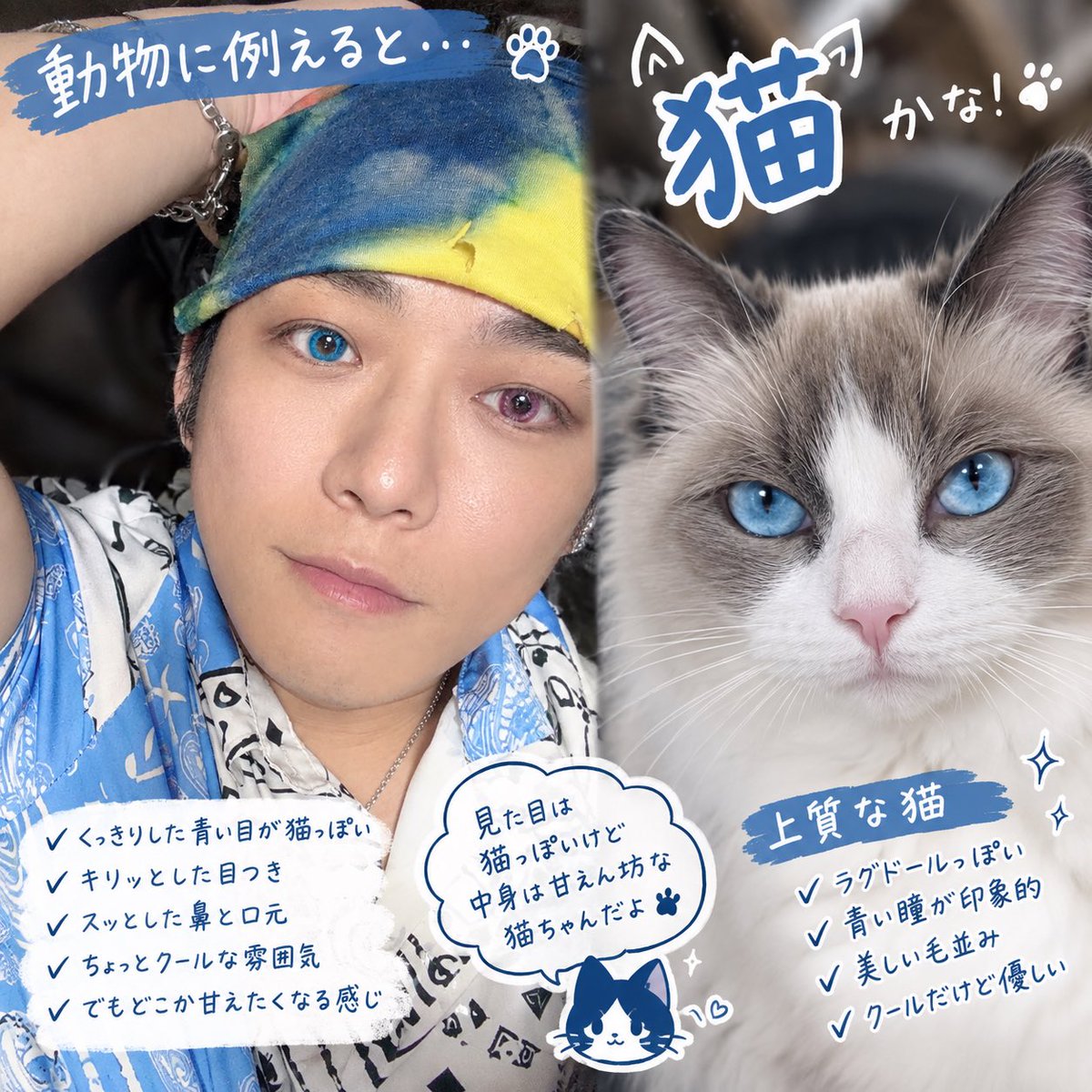 imaima_maimai's tweet photo. まんまじゃねーか！🤣
説明も変だし！
……G https://t.co/4tfVgS7PcR