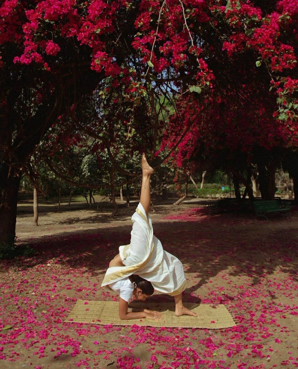 shehasaudacityy's tweet photo. I wanna see more yoga instructors that are actually Indian women 🪔 https://t.co/HO3QALtSAU