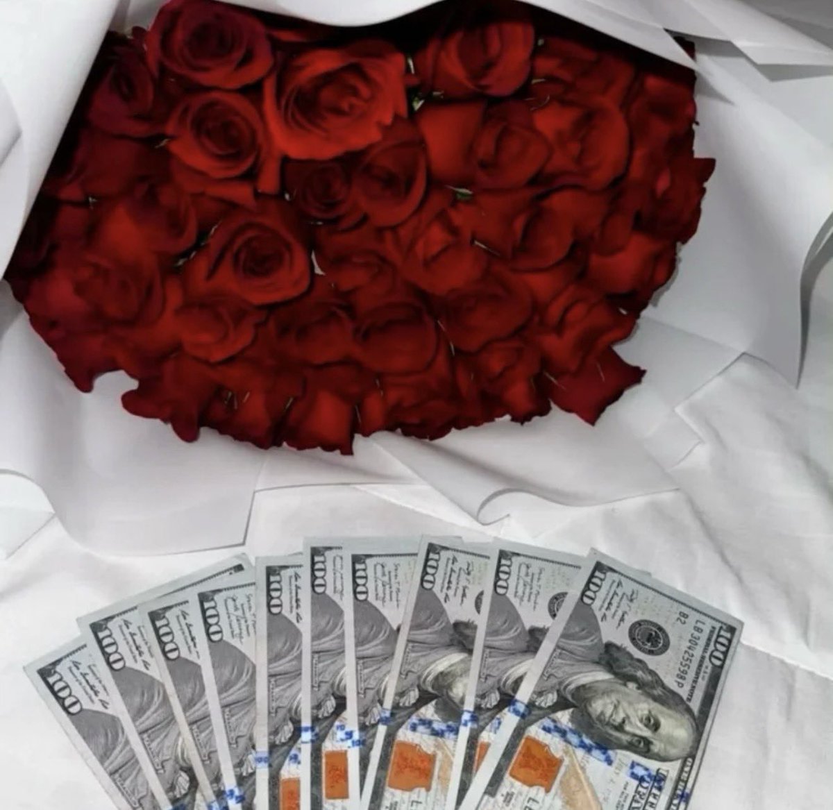 serveseleste's tweet photo. I just received 🌹🌹🌹🌹🌹 from Anonymous via Throne. Thank you. ♡ https://t.co/VtowhijhKQ #Wishlist #throne #findom https://t.co/zrQNNMJPh6