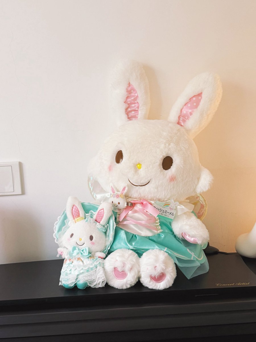 JamosaWang1208's tweet photo. 💖メルちゃん　#mell #ウィッシュミメル #サンリオ　#メルちゃん https://t.co/k5DAY0iboO