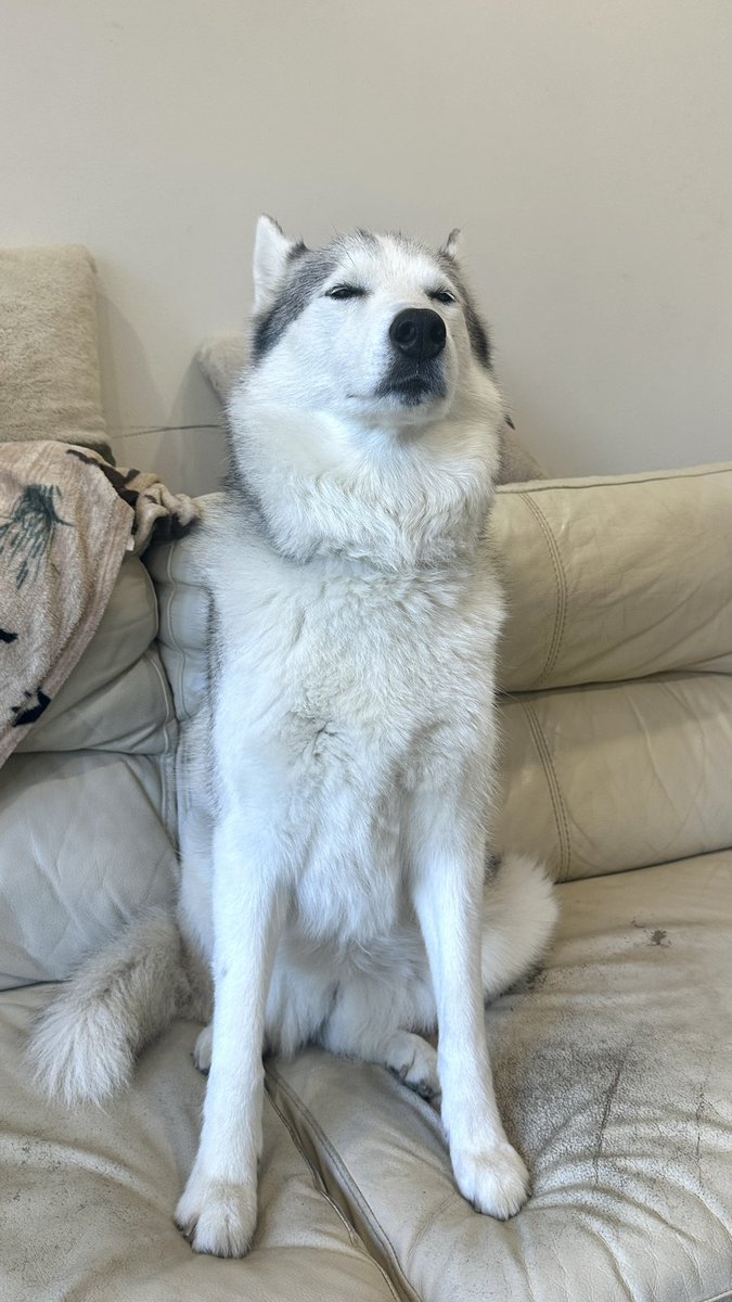 ProblemTrash's tweet photo. my beautiful wonderful niece with and without her bandana. https://t.co/SYErDniByO