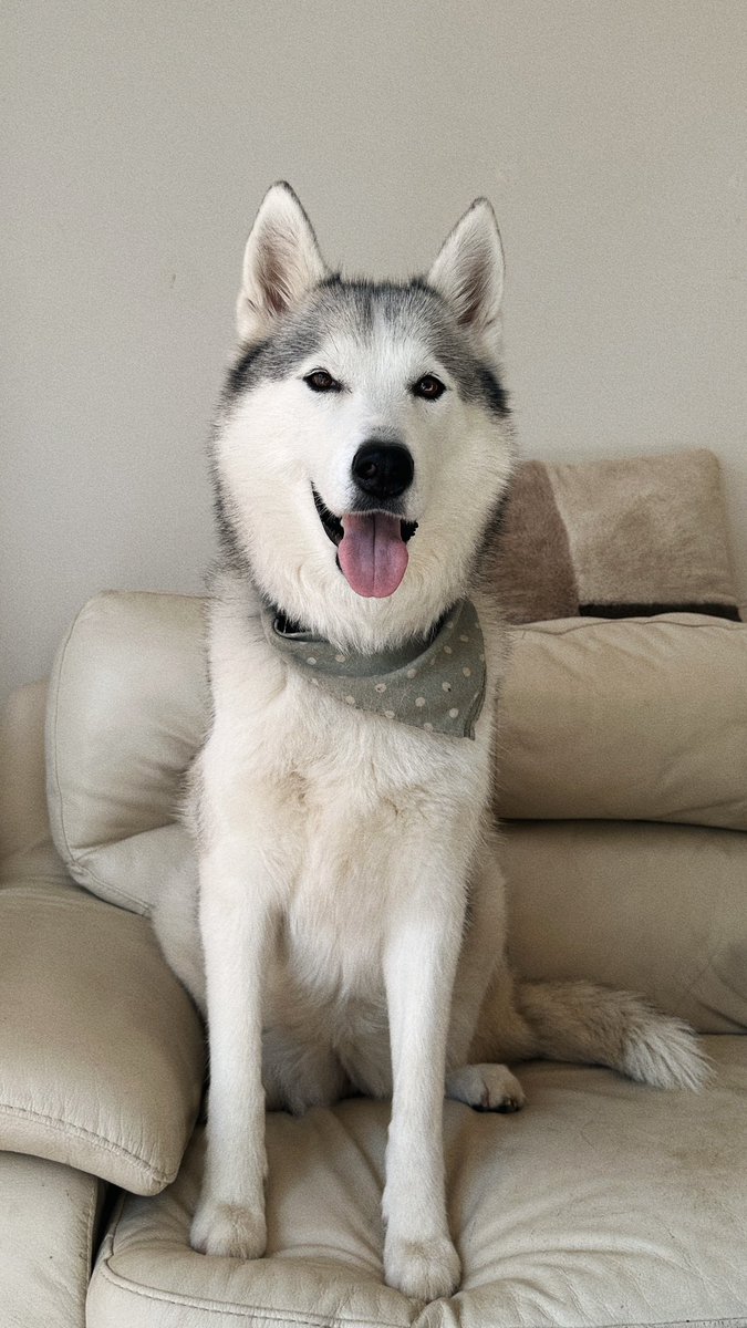 ProblemTrash's tweet photo. my beautiful wonderful niece with and without her bandana. https://t.co/SYErDniByO
