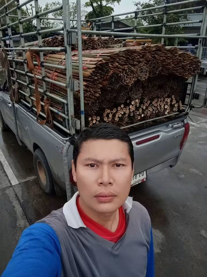 RnphuSng's tweet photo. 🙏ส่งงานวันอังคาร ที่ 15/9/2569 (196มัด)🙏
🌳ขายตลอดทั้งปีครับ🌳สนใจไม้ไผ่ลำไม้ไผ่ผ่าซีกแหลมปลาย🌳ไม้หลักปักค้ำยันต้นไม้ทุกชนิด🌳
☎️สนใจติดต่อสอบถาม
Tel / line : 0959788029 / 0631629620 / 0626199799 บ๋อม นครนายก
🙏🙏🙏ขอบคุณลูกค้าที่อุดหนุนครับ🙏🙏🙏 https://t.co/mHwnykeeNe