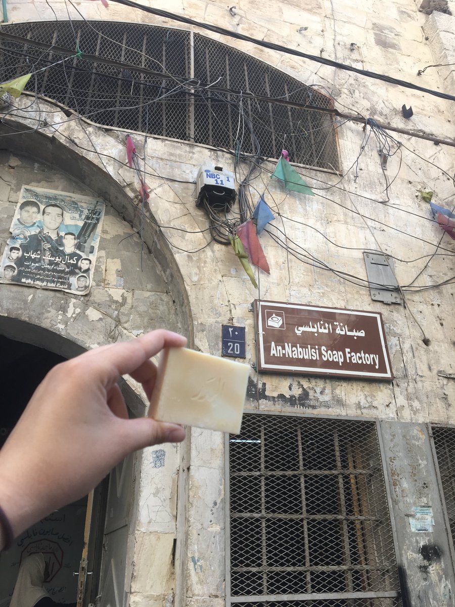 YasmeenOne's tweet photo. فلسطينتي الحبيبه، انا بحبك كثير، انا فخوره جداً إني اكون من بلد  اهلها من أقوى وأشجع  وأحن ناس. ان شاء الله رح يجيي اليوم اللي تنالي فيه الحريه وتعيشي السلام اللي تستحقيه🇵🇸❤️ https://t.co/0nr0hPofhb