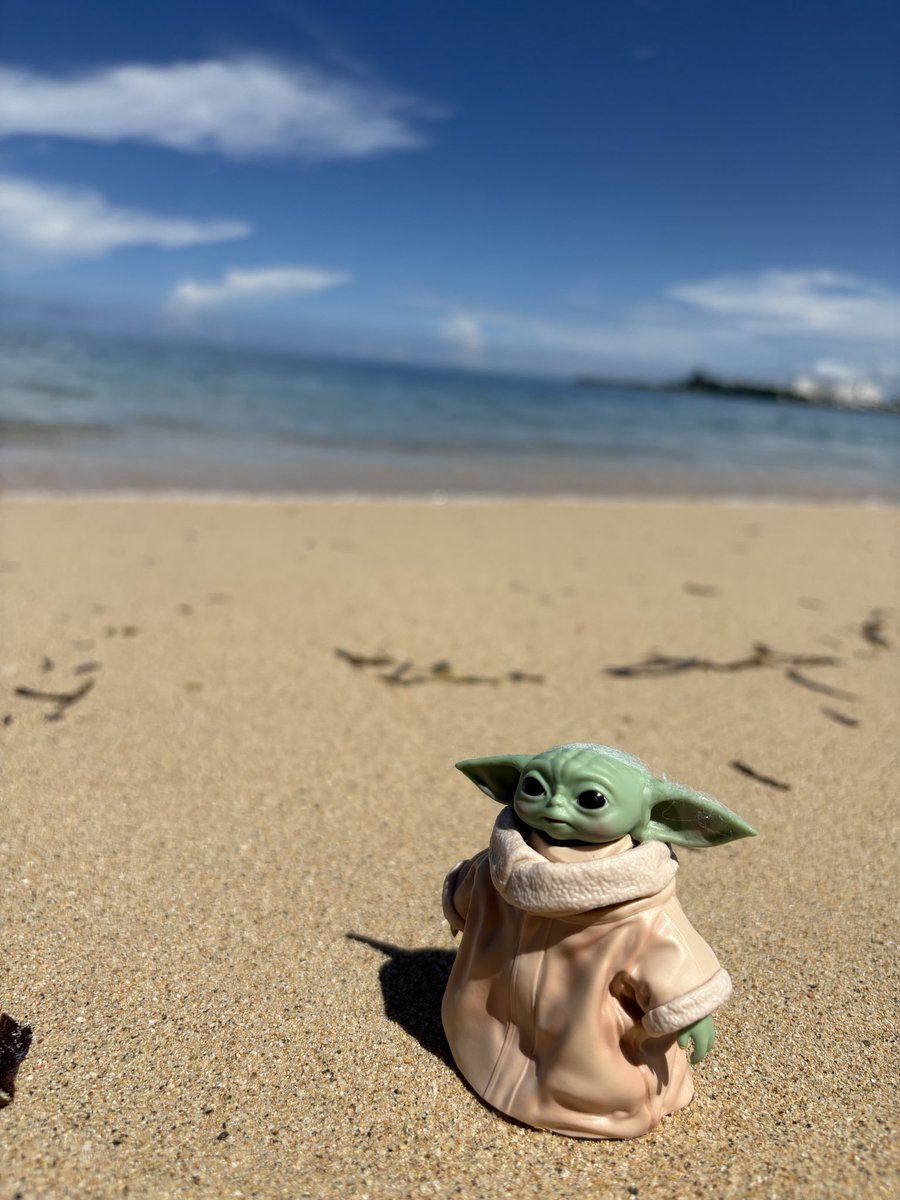 fillmore35's tweet photo. うちのグーちゃん
恩納の海にも行きました
さて、そろそろ帰りますよ✈️
次は12月ね
ロッタくんのフィギュアも欲しくなっちゃうなぁ
2人で海辺で遊ばせたくなる🦀 https://t.co/qvFOcbWGpG