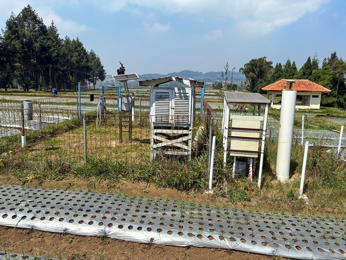 NIED_en's tweet photo. 🇮🇩 🇯🇵 A report on the 1st Annual BRIN-NIED Workshop is now available on the #NIED Hyogo Earthquake Engineering Research Center website 💻. Dr. Omura from the Center participated in the workshop. 🌏🤝 #DRR

For more details, check out the article below ⬇️
https://t.co/kifTpmX0sm https://t.co/Fe5TeQi5s7