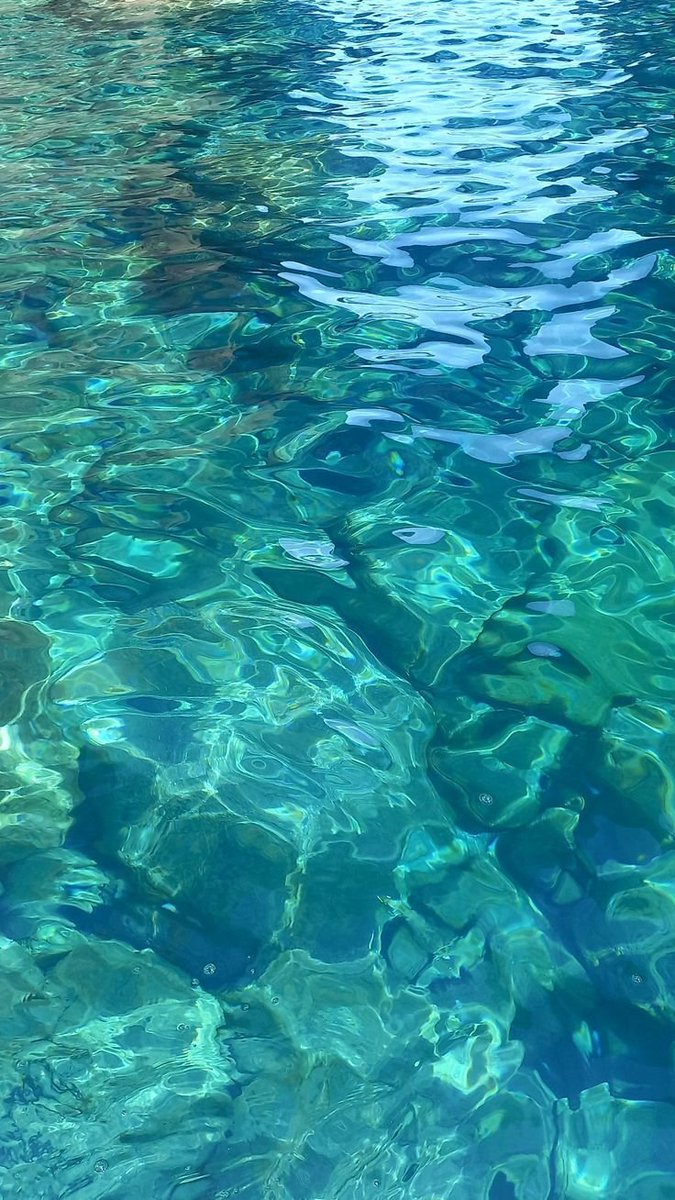 calmlivng's tweet photo. sea serenity https://t.co/yb245DU6ex