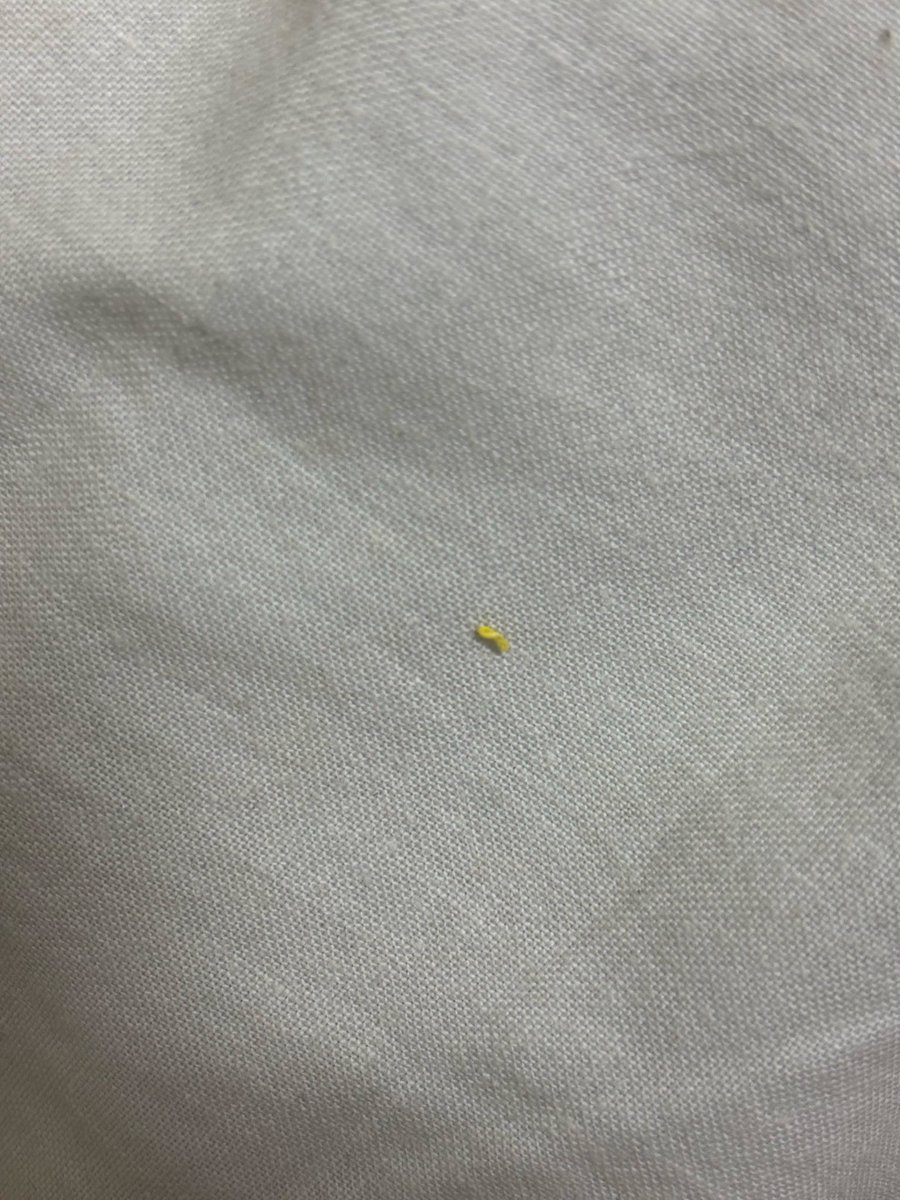 shen4218's tweet photo. たまに家に出てくる心当たりのないこの黄色い糸くずって一体なんなんだ？ https://t.co/0thI0RBAMm
