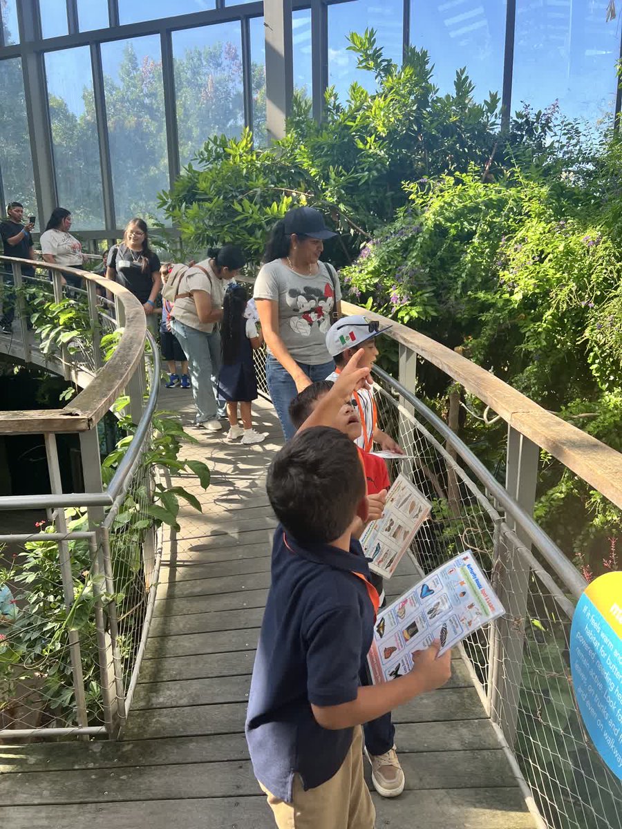 JWCarpenter27's tweet photo. Our kindergarten students went on their very first field trip to the Texas Discovery Gardens! 🌿🦋 They had a wonderful time exploring, learning, and making special memories. Thank you to all of our parent volunteers for helping make this exciting day possible! 💙 https://t.co/LC7hAZkSxo