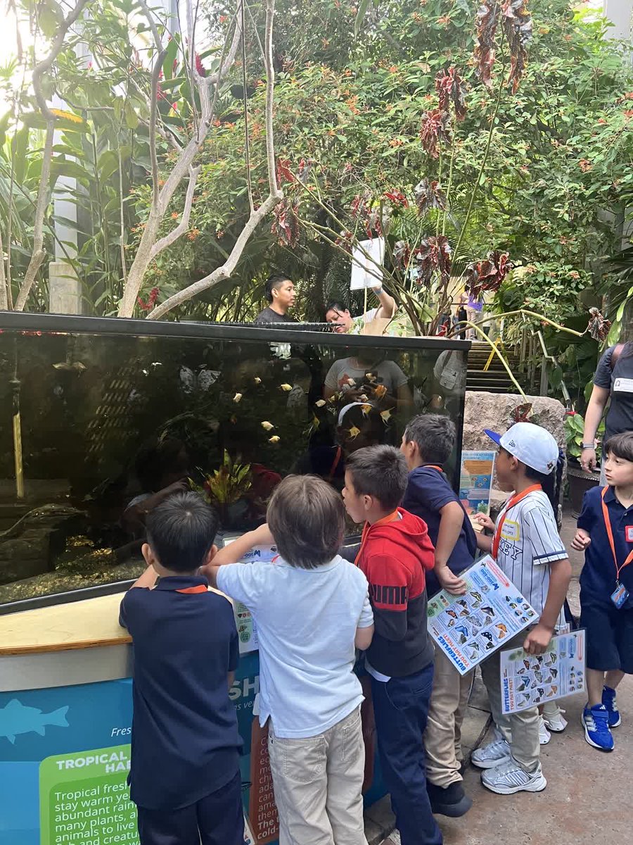 JWCarpenter27's tweet photo. Our kindergarten students went on their very first field trip to the Texas Discovery Gardens! 🌿🦋 They had a wonderful time exploring, learning, and making special memories. Thank you to all of our parent volunteers for helping make this exciting day possible! 💙 https://t.co/LC7hAZkSxo