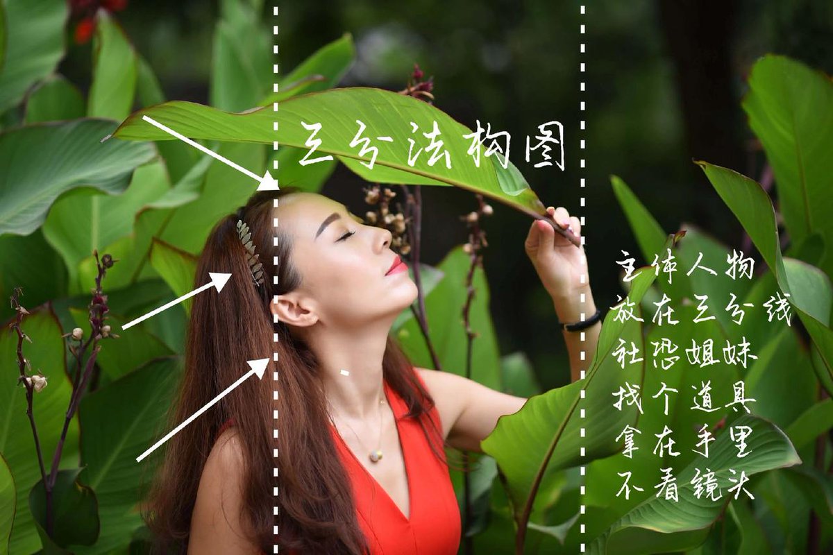aislm108777's tweet photo. New to photography Start by mastering the rule of thirds—split your frame into 9 parts, place subjects at intersections for balanced, eye-catching shots. No fancy gear needed, just your phone!， https://t.co/TvJseL9T2q