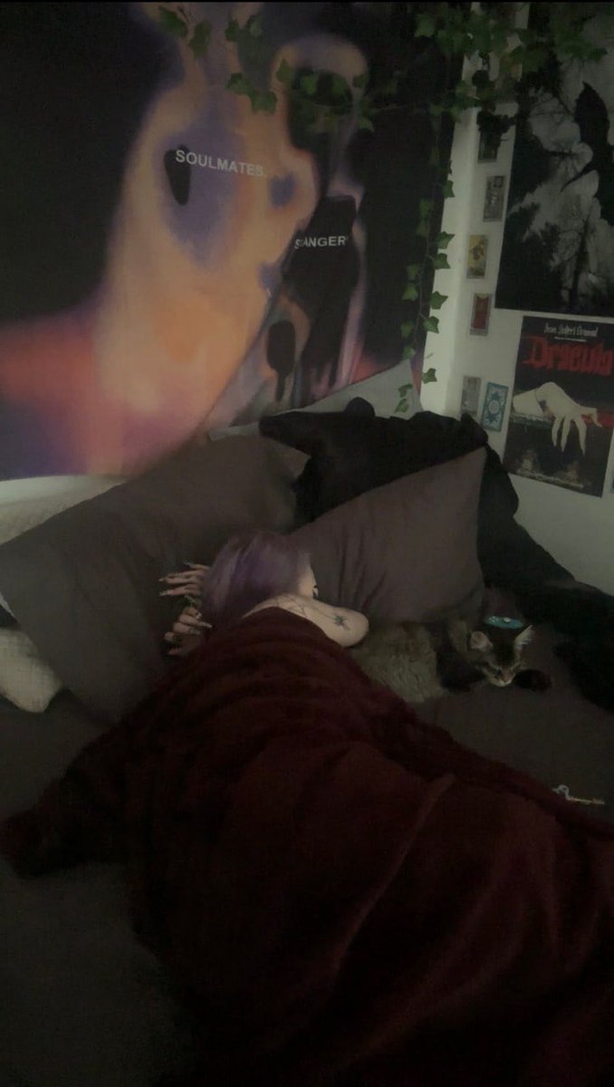 bellester_'s tweet photo. incase ur wondering why im not responding anymore 🥱😴 https://t.co/ZTqhqclVz5