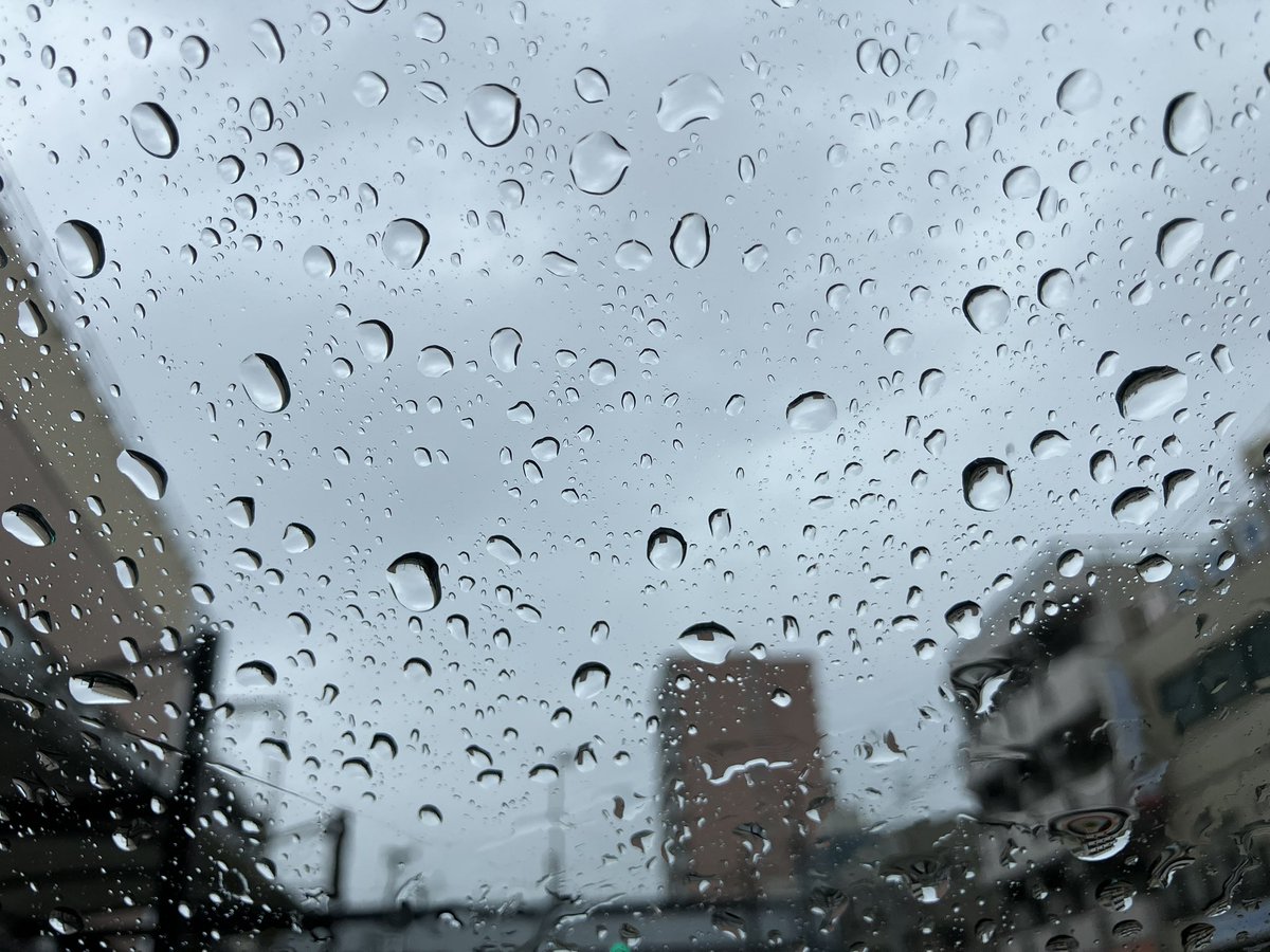 NANIWATAXIDR's tweet photo. おはようございます😊

本日も田舎の駅前はこんな感じでございます…

夜から雨☔は上がるとの予報でしたので、
今朝はチャリ🚲通勤です
(もちカッパ着用)

さて、
昨日の夕方🌆、客人を浄正橋を上がったところ(コレ重要)にお送りしました
が、、、
なんと❣️
福島駅下の踏切が全く開かないではないでせうか❣️
踏切を挟んで南北なにわ筋は大渋滞❣️😵

半時間以上動きませんでした、野田

では
皆さま、ご安全に🦺🚕

#車両点検とか🚃😵
#後ろで客人があばれる君？
#ともあれお弁当は美味し❤️