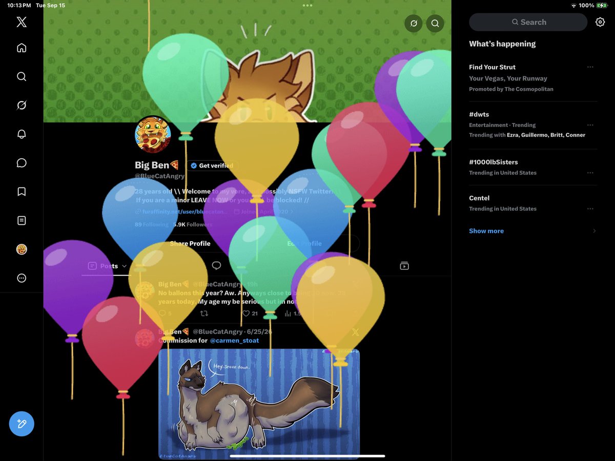 BlueCatAngry's tweet photo. Oh there’s the balloons! https://t.co/8k1UIlOGgt