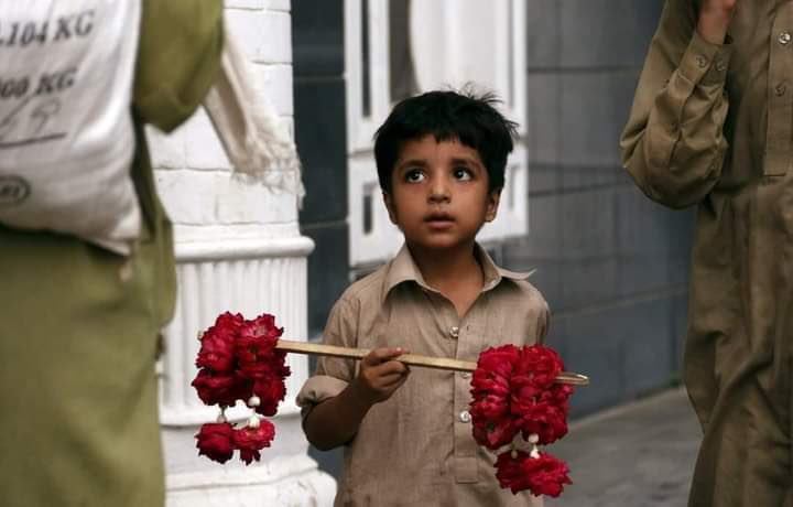 ReadinWakil's tweet photo. یہ ہیں وہ پاکستانی بچّے
جن کے نام پر ملک کی اشرافیہ بدمعاشیہ
بیوروکریٹس اور جرنیلز IMF سے
خطیر رقم بٹور کر بیرون ملک اپنی جائیدادیں بناتے ، جزیرے اور محلات
خریدتے ہیں کوئی پوچھنے والا نہیں ۔ https://t.co/oPgIjaD2nc