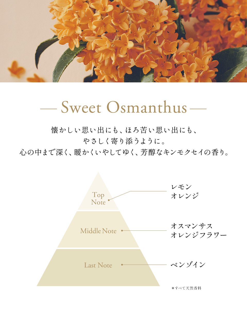 FloraNotis_JILL's tweet photo. 優しさで包み込む金木犀の香りと
心に光を灯す橙色の幸福感を🧡

“Sweet Osmanthus”
それは胸の奥底に深くとどまる、
甘く切ない香り。

スウィートオスマンサスの香りに包まれて
愛に満ちた心地を🤍 https://t.co/NGgAe8xZTs