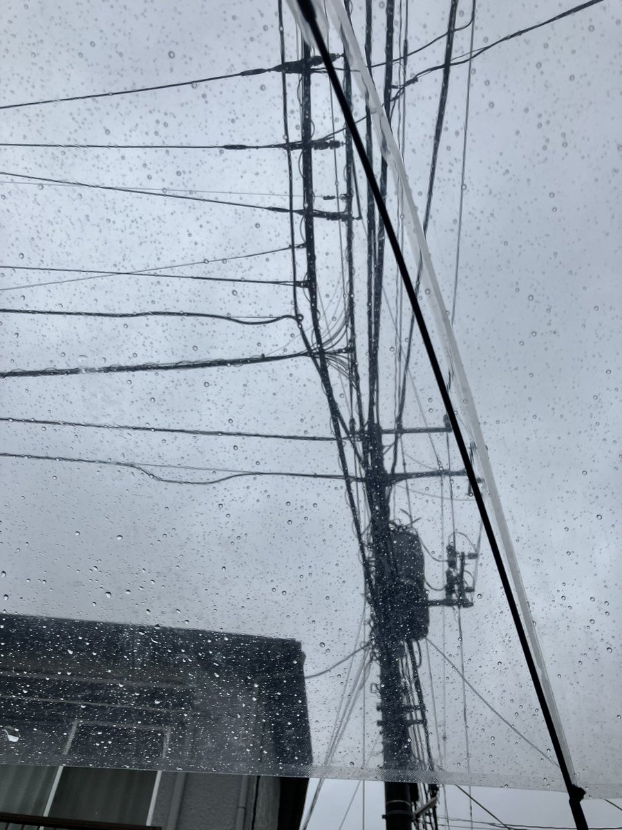 kai0010's tweet photo. 今日は絶え間なく雨。

植物は嬉しそうでした。 https://t.co/o8FoOKqlDM