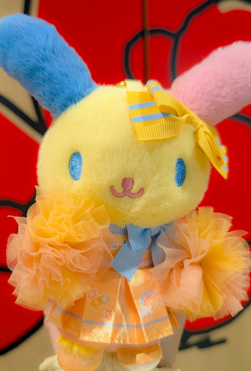 Apple40060468's tweet photo. ウサハナちゃんお迎え🥰🫶🏻 https://t.co/TMYkXr2Z8J