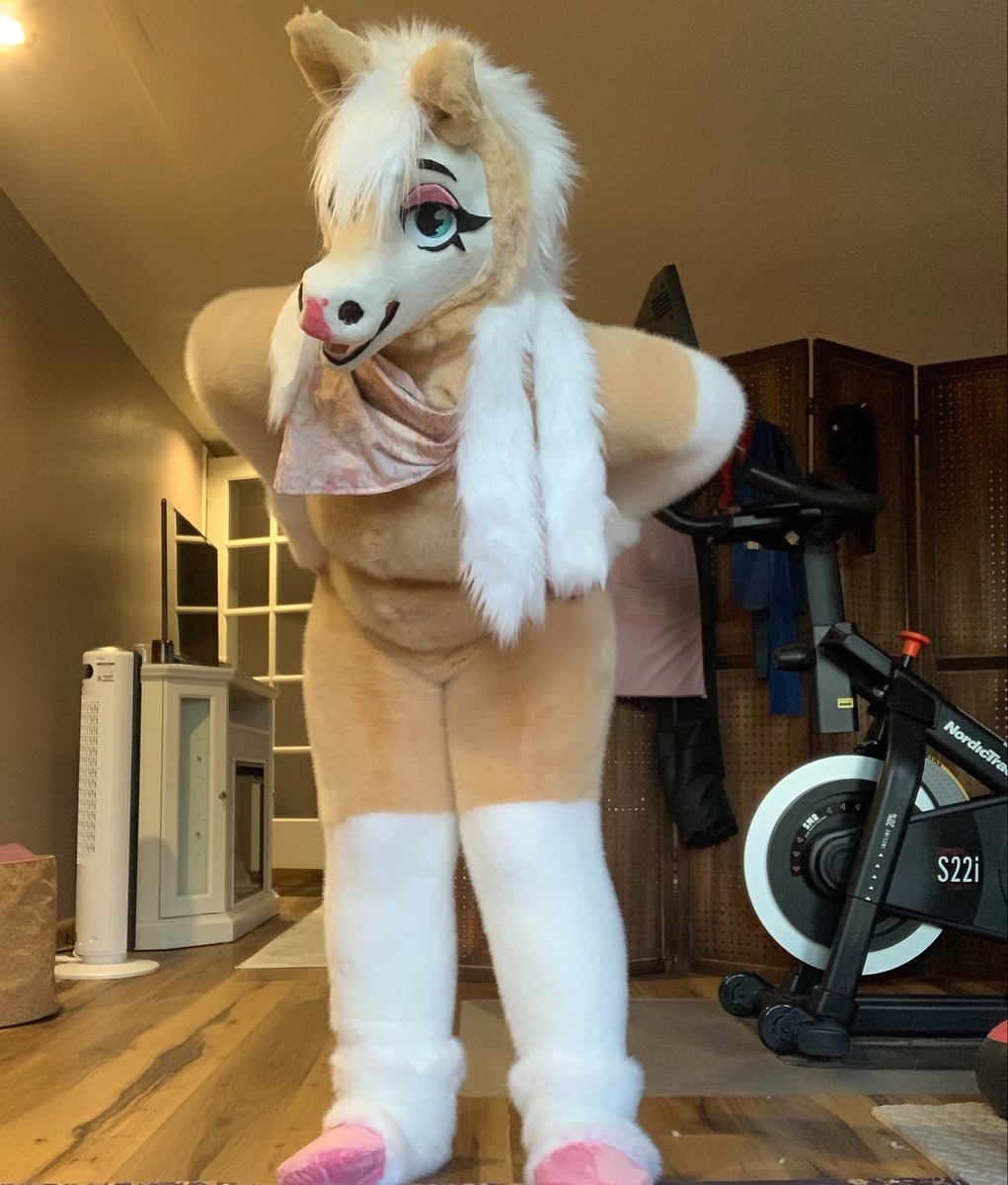 zoethehonse's tweet photo. Neigh https://t.co/mKWcUEWsRE