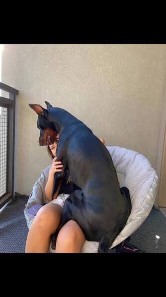 SandySmithueac's tweet photo. https://t.co/zCAH3mzwqd

#Dogs #USA #K9 #Germany https://t.co/3EzZ7D0rNT