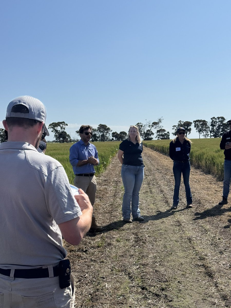 DirtSouthern's tweet photo. First field stop 🚌🌾
Tori Kirk &amp; Gustavo Boitt from CSBP taking us through the Urea Sustain trial – looking at reducing N losses and improving nitrogen use efficiency when follow-up rainfall is unreliable. #CSBP #NUE https://t.co/dzNBpzest3