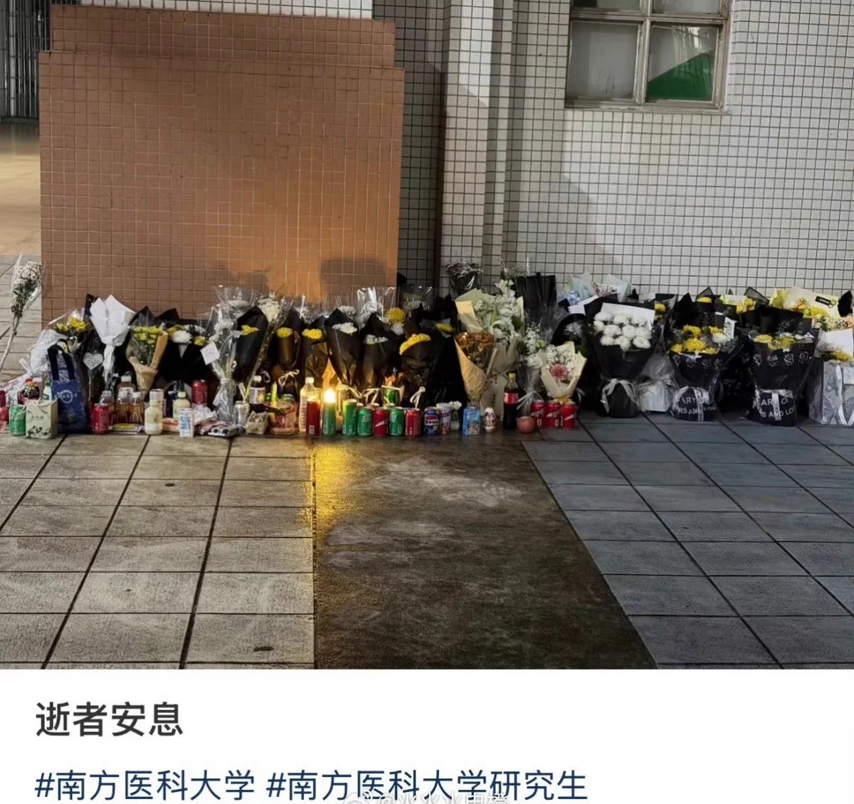 Jack_peng8964 on X: 
