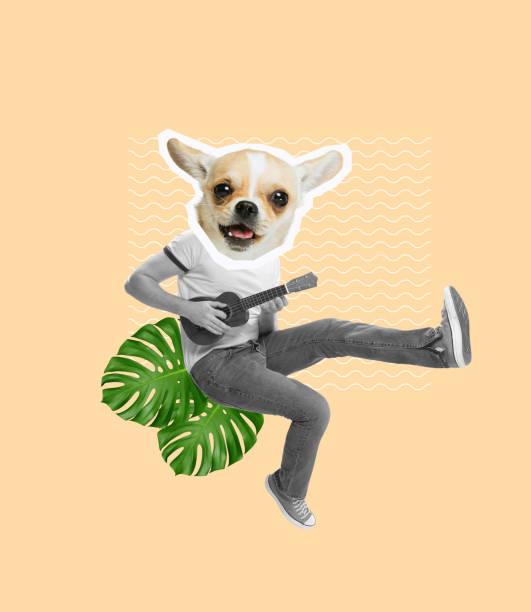 Powerfatty91's tweet photo. 犬と一緒に新緑満喫🌿🐶 https://t.co/cGS7FF2KDC
