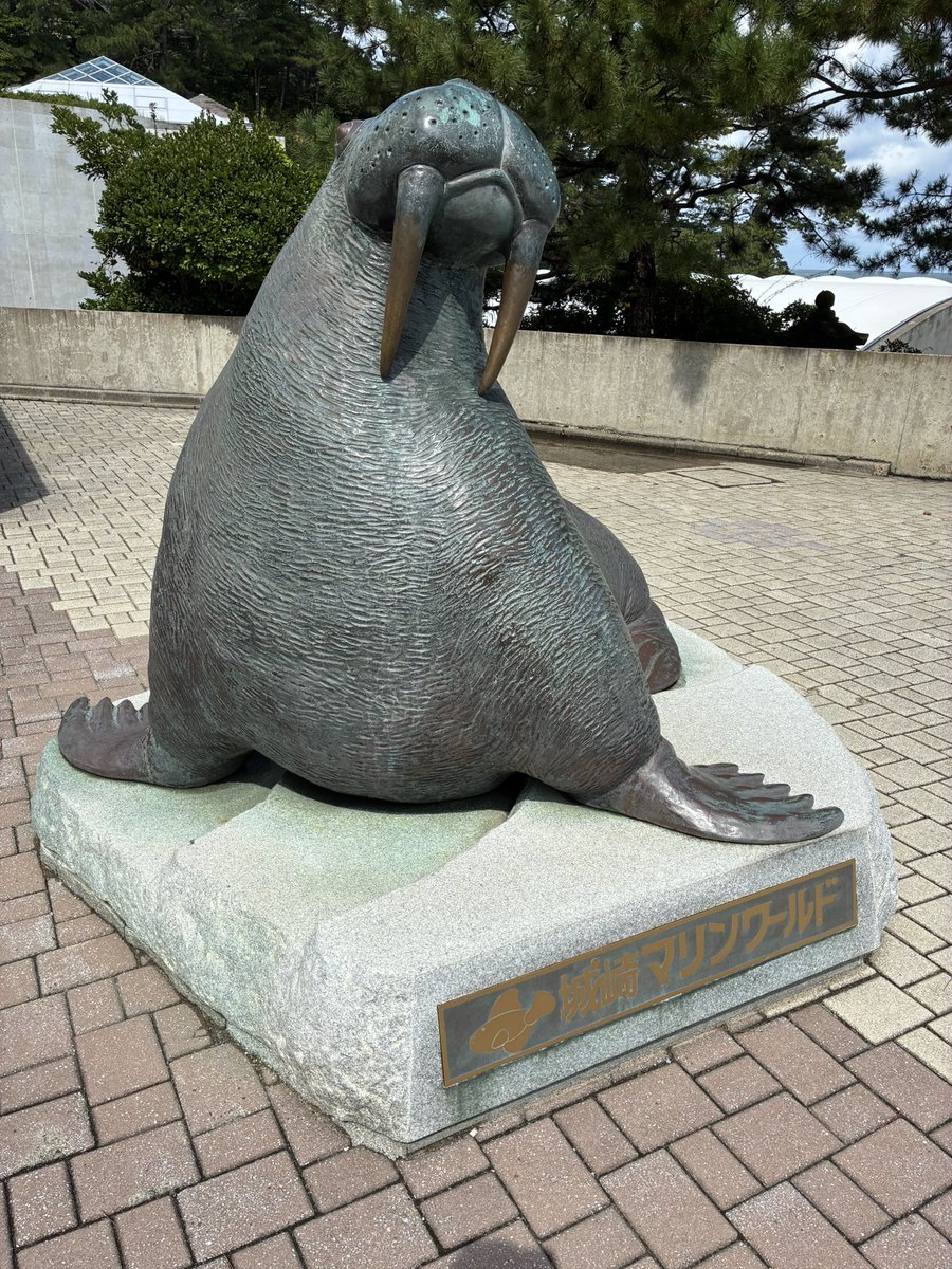 x_file_000's tweet photo. 今日はマリンワールドでポチポチトレード。 https://t.co/YuZOII6CJb