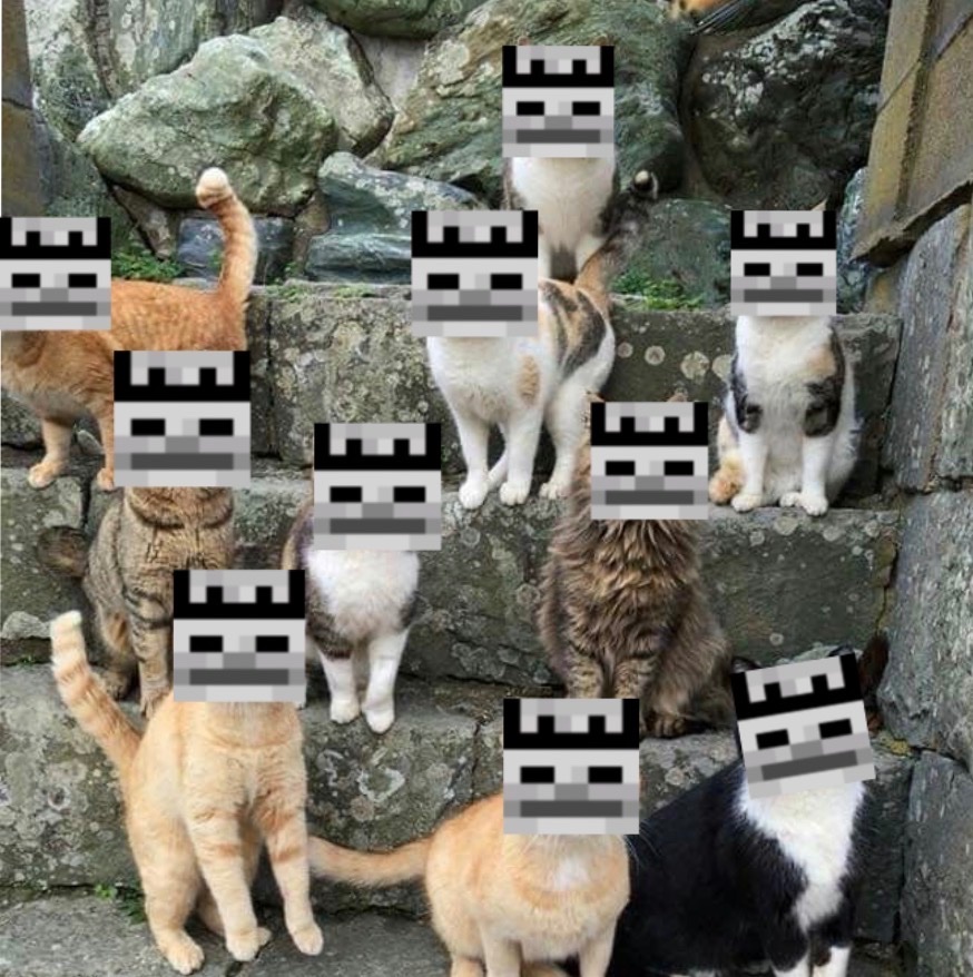 Catimators tweet picture