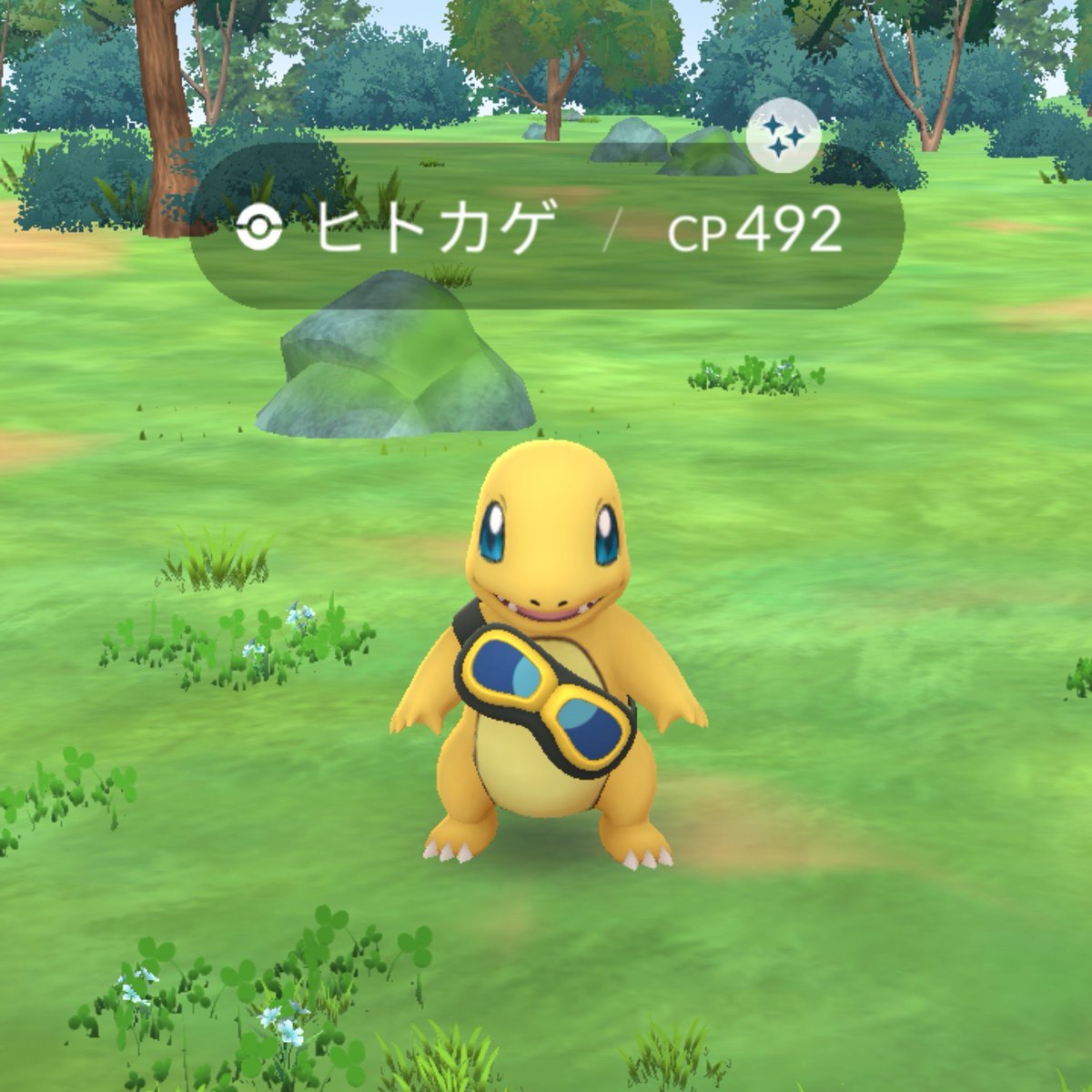 Sally_0609's tweet photo. 毎日めっちゃカメレオンやっててポストするの久しぶりです🤣🤣🤣
ポケ活はボチボチやってますよ！
そしたら今日いきなり野生でキラッたよ✨👍
#ポケモンGO
#色違い
#色違いポケモン
#shinypokemon https://t.co/Uo3Jf7lAeq