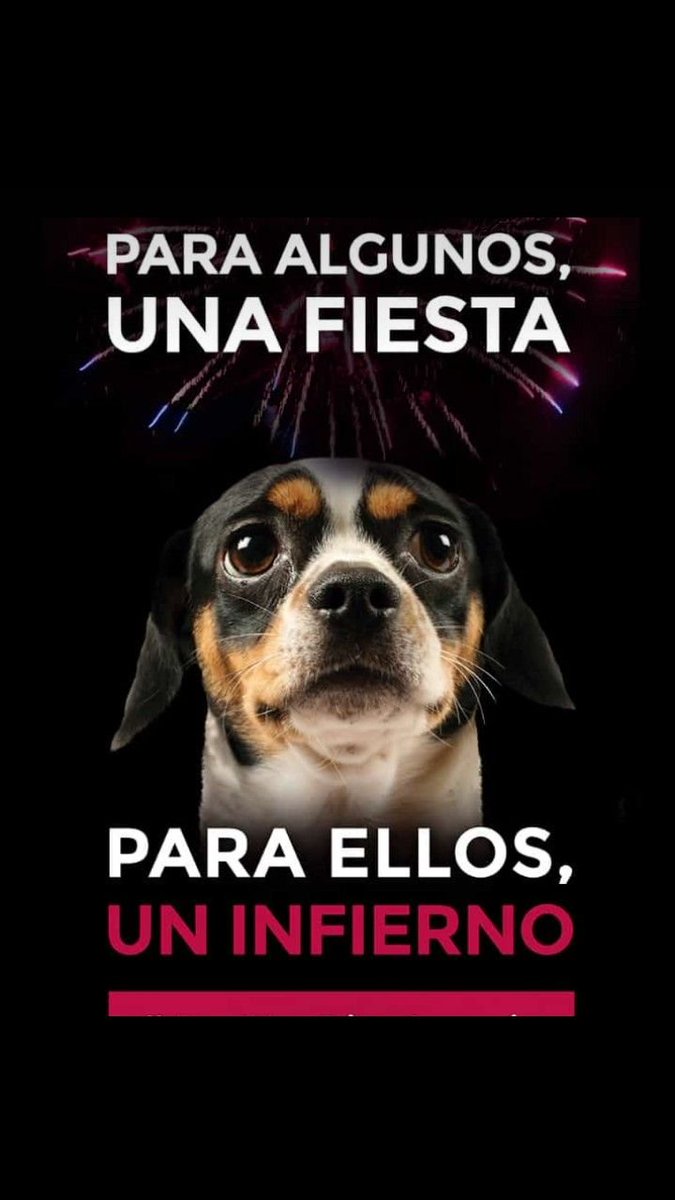 veroloyo25's tweet photo. Que poca madre que no se den cuenta lo que afecta la pirotecnia a los 🐶😿🐦 personas mayores y autistas #losRemediosNaucalpan @GobNau https://t.co/DT8z92uI2c