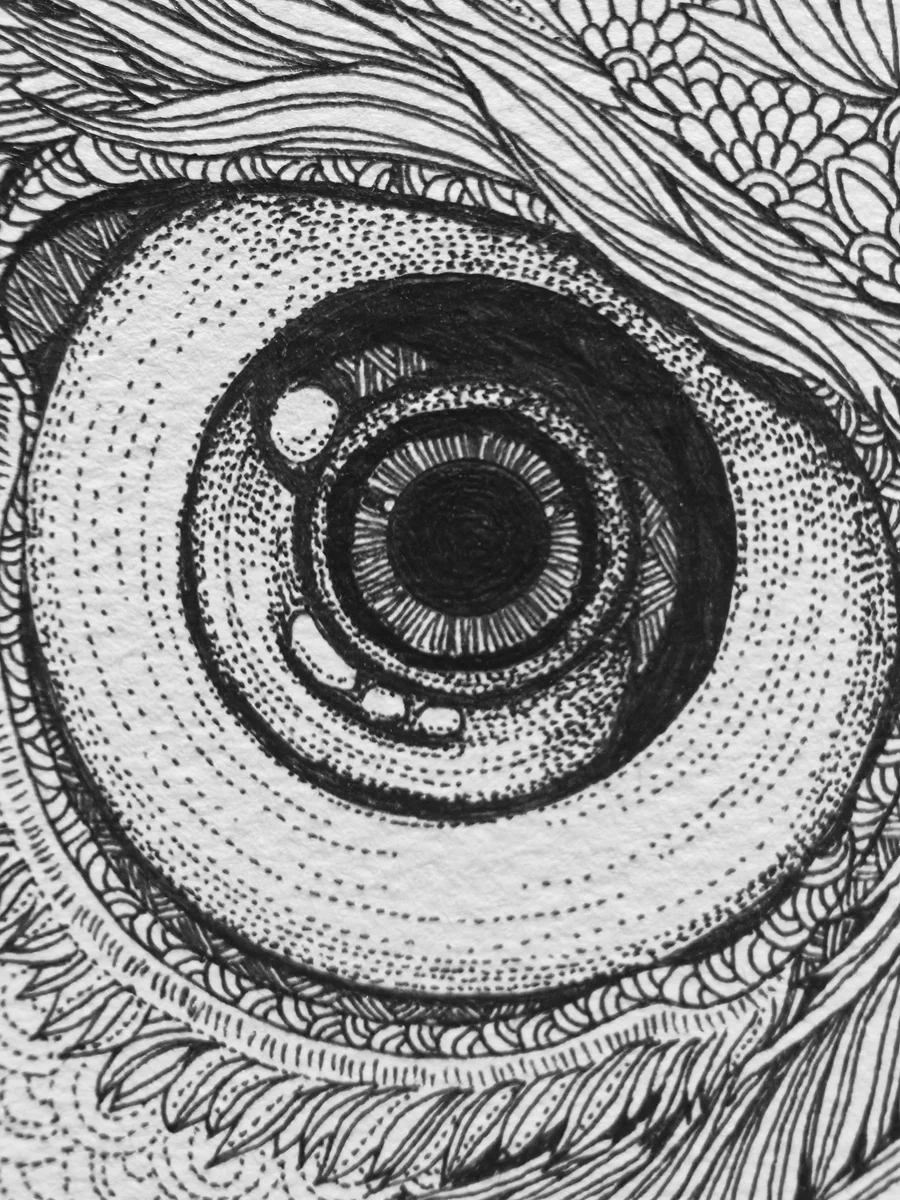 ボールペン画アーティスト✒️Saki on X: 