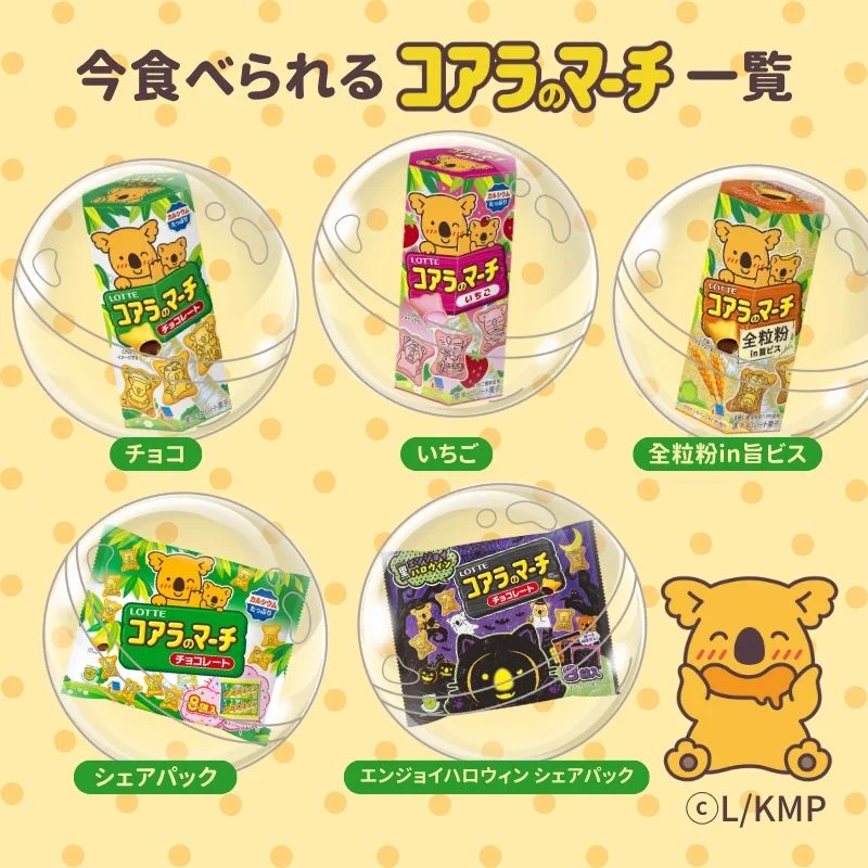 ロッテ コアラの実◎【公式】 på X: 