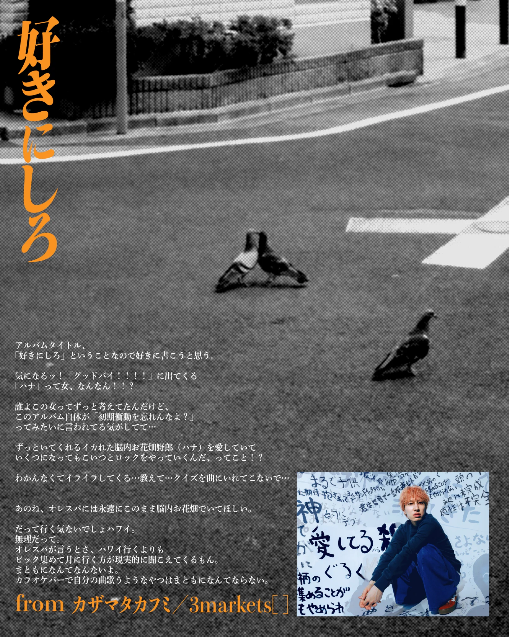 オレンジスパイニクラブ on X: 