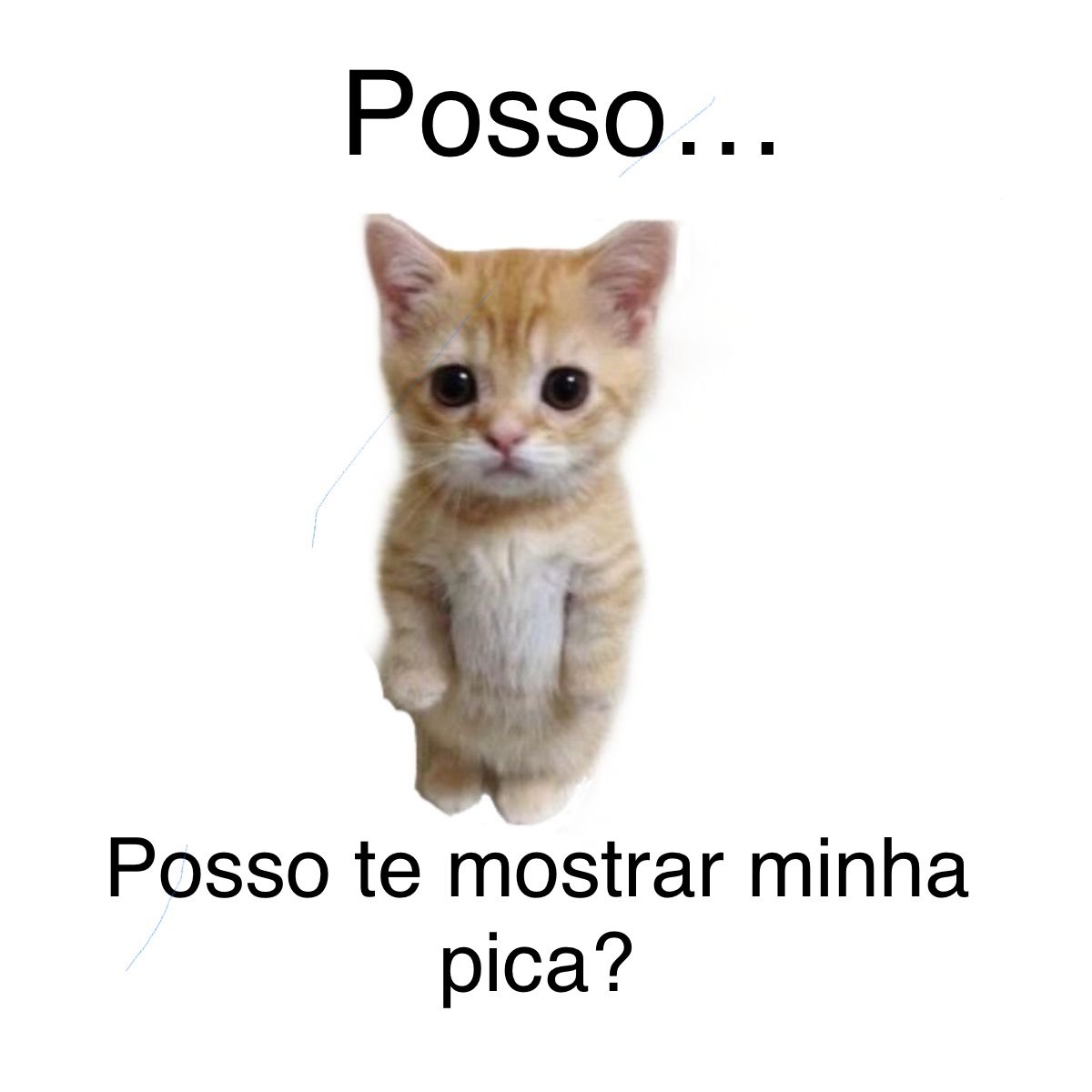 kkizk00's tweet photo. um ano de azar se vc ignorar esse gatinho fofo https://t.co/byfm3eubIl