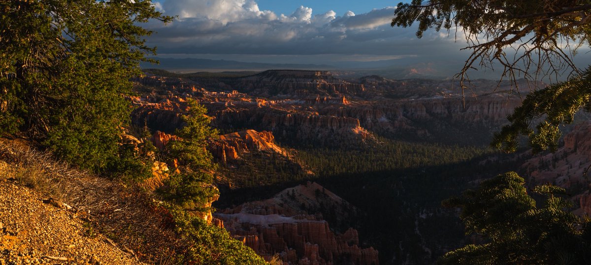 dgrifbarnes's tweet photo. Scenes from the American west https://t.co/vEYVUdkt1E