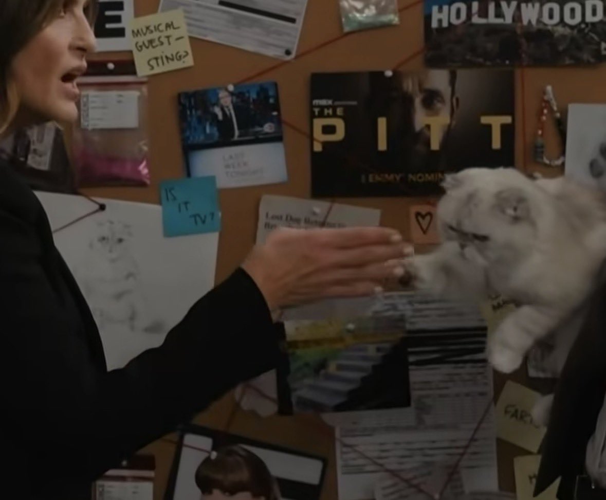 hbaker129's tweet photo. Cap. Olivia Benson 🤝 Cat Olivia Benson https://t.co/vnse8enjVb
