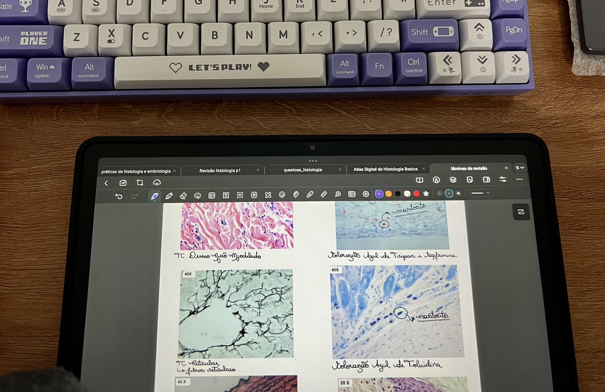 jistuds's tweet photo. ─ 🍐#studylog 15092026 

hoje tiver que fazer uma maratona intensa de estudos para a prova de histologia amanhã e ainda assim não consegui estudar tudo socorroo https://t.co/75bKIplbbK