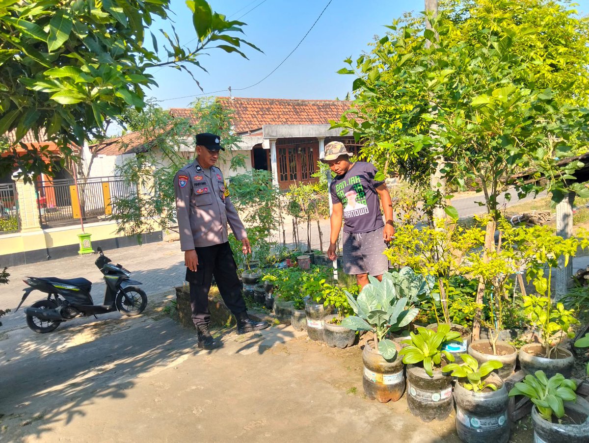 PadasPolsek's tweet photo. Bhabinkamtibmas Kwadungan Monitoring Pekarangan Sayuran, Dukung Ketahanan Pangan Warga

 Bhabinkamtibmas Polsek Kwadungan Aiptu Hartono melaksanakan sambang sekaligus monitoring pemanfaatan pekarangan rumah pangan bergizi milik Bapak Bambang, di RT 002 RW 002, Desa Mojomanis, https://t.co/IkkxtJB3Da