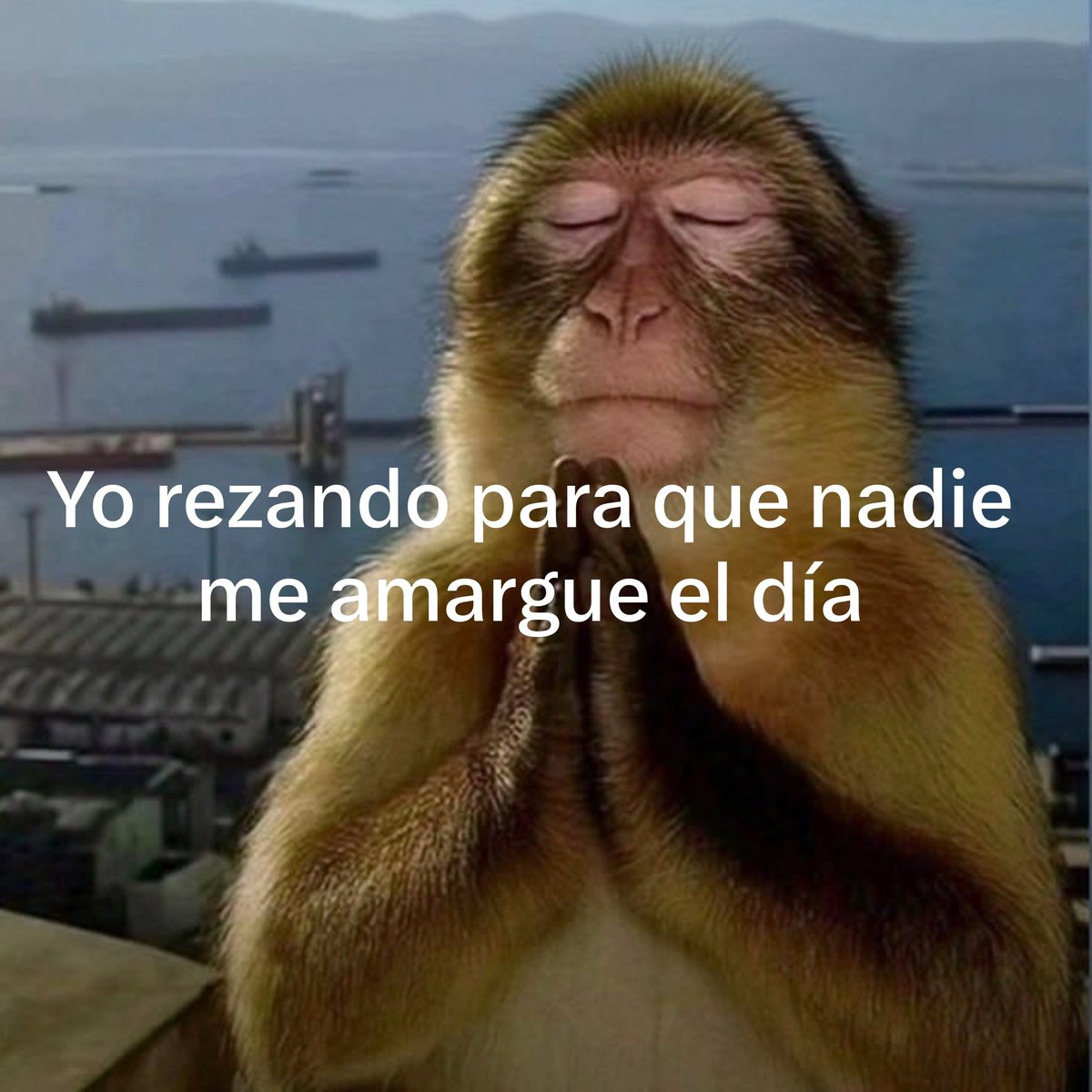 fiorella_bartra's tweet photo. Y me amargan igual. https://t.co/BkcLKujf1z