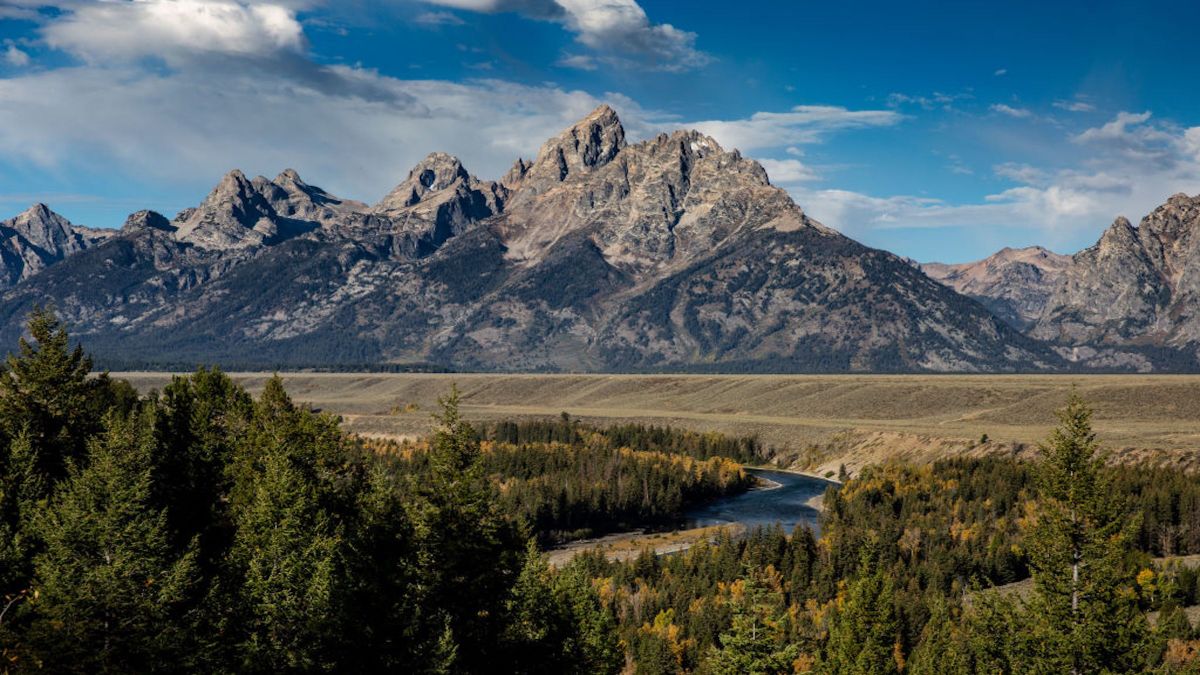 A Bear Encounter Left Two Hikers Stranded in Remote Wilderness Near Grand Teton National Park