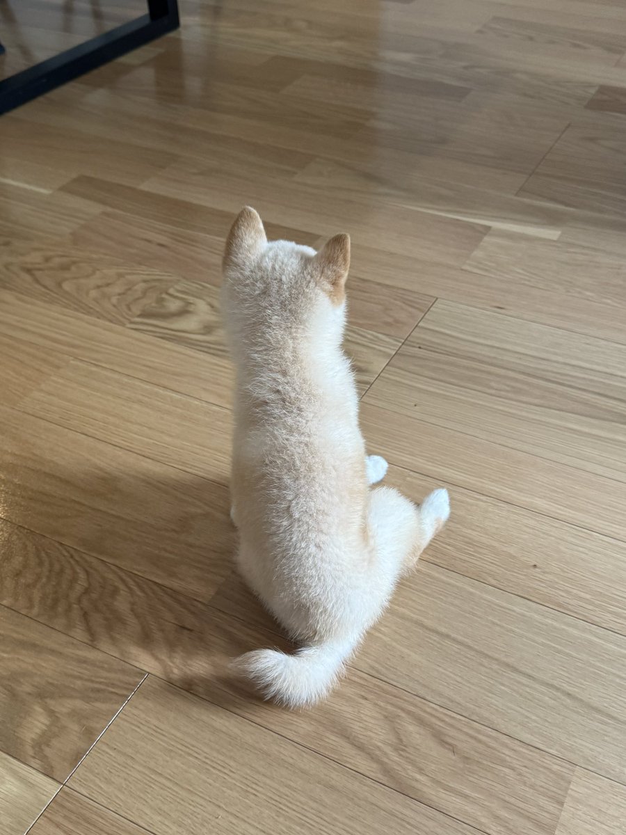 xrisaxpo's tweet photo. 今日は朝一で病院へ🏥 https://t.co/KOU1bsnMnG