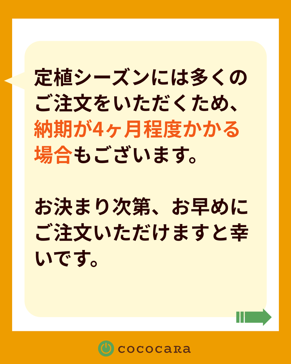 cococaRa2016's tweet photo. 【よくあるご質問】
 Q. ココカラ製品はいつ注文すればいい？
A. 国内在庫品は約1週間、在庫なしは3〜4ヶ月いただきます。
定植前は混み合いますので、お早めのご注文がおすすめです🌱

▼詳細・サポートはこちら https://t.co/VTEIcDuo6S
#ココピート #農業 https://t.co/Df17w0yos0