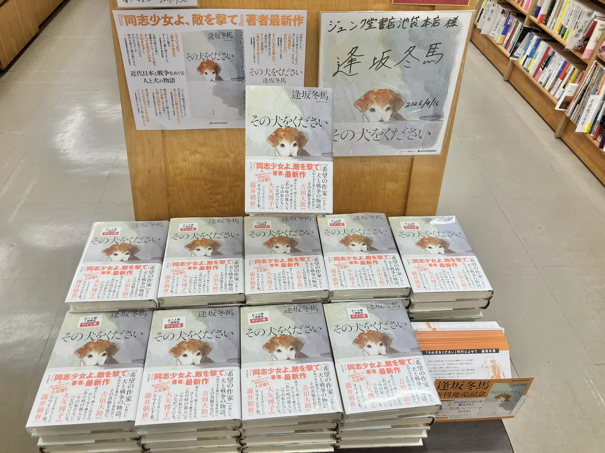 【サイン有】となりの坂田 ポカフェ ジュンク堂書店池袋本店 文芸文庫担当 on X: 