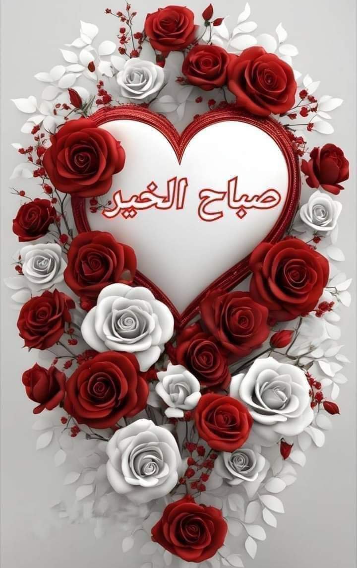 ImadBahja1's tweet photo. @AE16110805 https://t.co/nuQHTENkYx