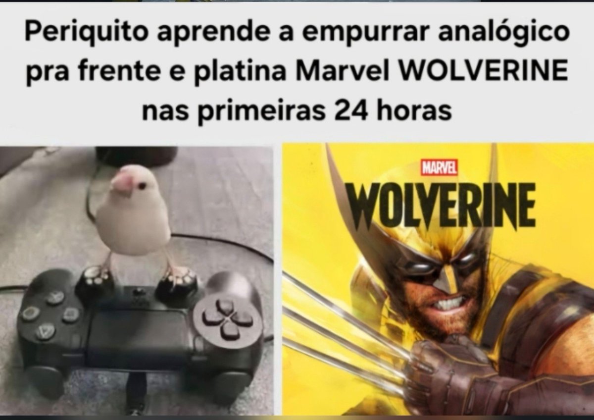 HeretusAsVezes's tweet photo. https://t.co/F0cJ9w8iWi